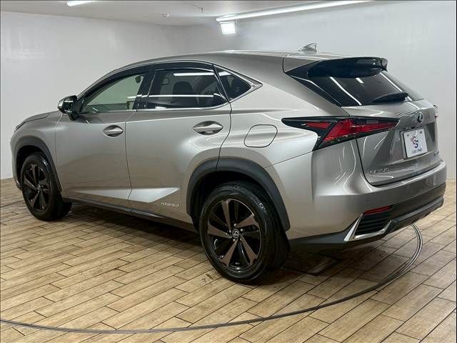 TOYOTA LEXUS NX300h 2018