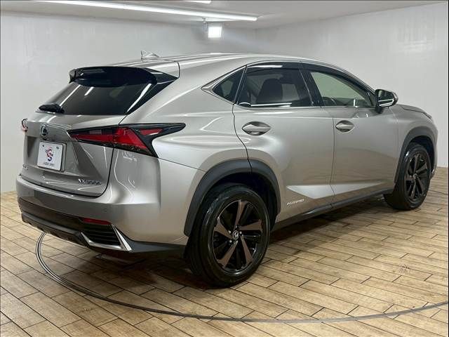 TOYOTA LEXUS NX300h 2018