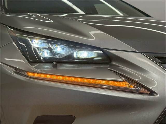 TOYOTA LEXUS NX300h 2018