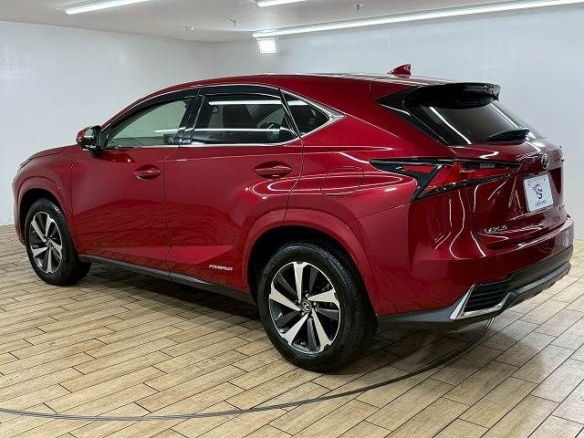 TOYOTA LEXUS NX300h AWD 2018