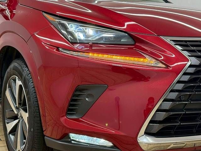 TOYOTA LEXUS NX300h AWD 2018