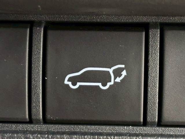 TOYOTA LANDCRUISER 250 2024