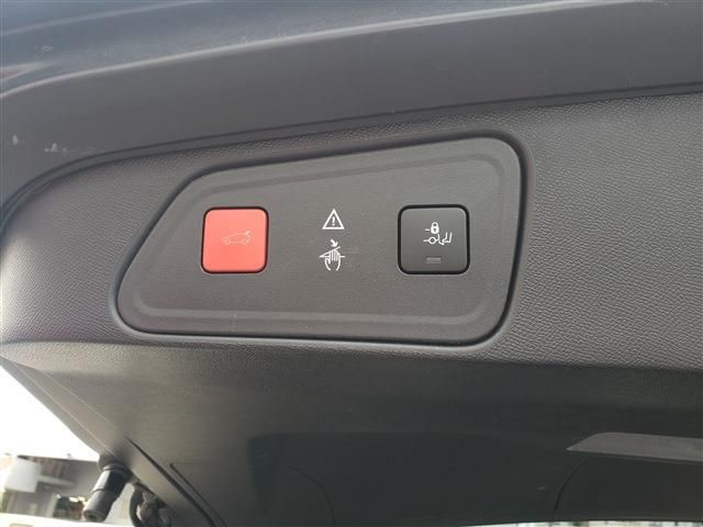 PEUGEOT PEUGEOT 3008 2019