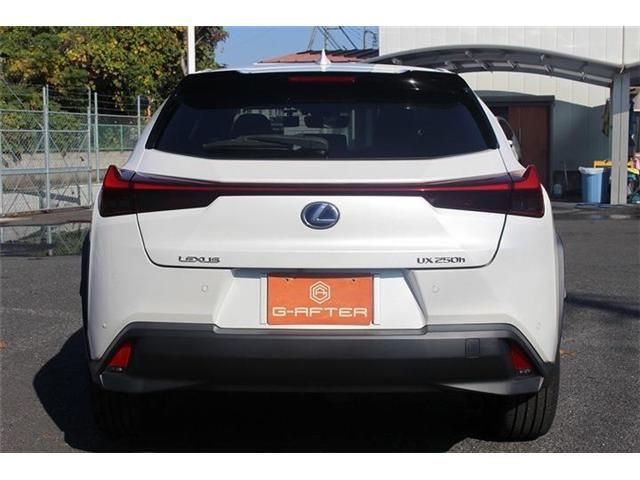 TOYOTA LEXUS UX250h 2020