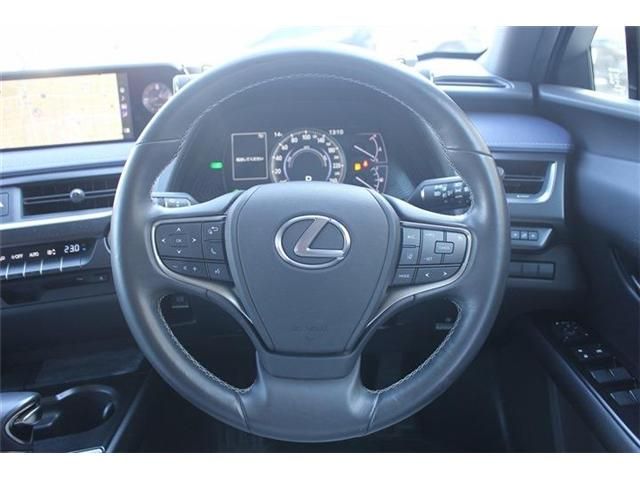 TOYOTA LEXUS UX250h 2020