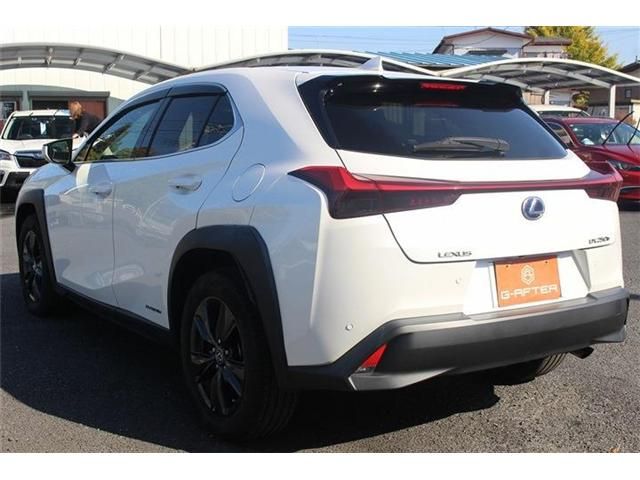 TOYOTA LEXUS UX250h 2020