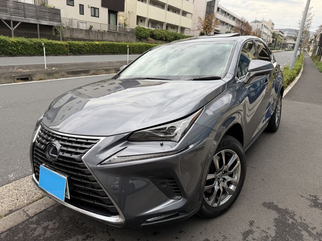 TOYOTA LEXUS NX300h 2018 
