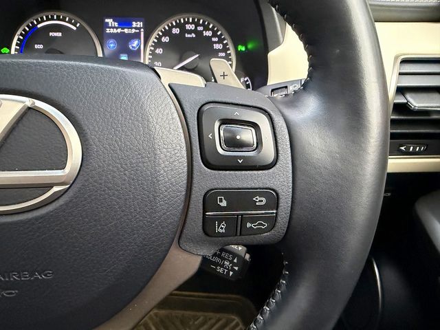 TOYOTA LEXUS NX300h 2018