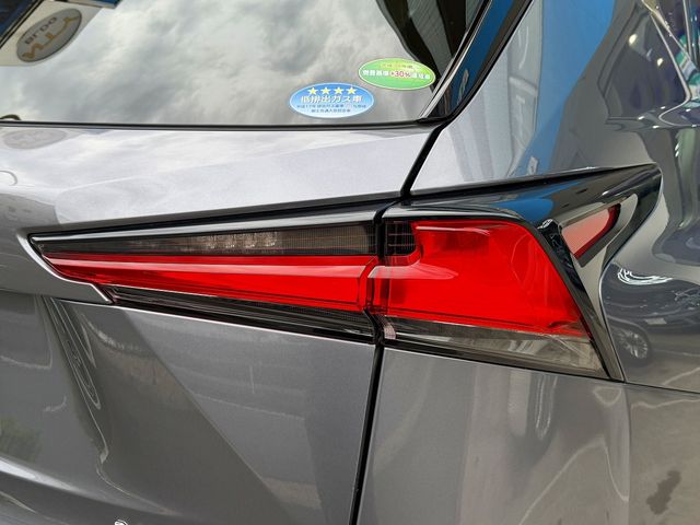 TOYOTA LEXUS NX300h 2018