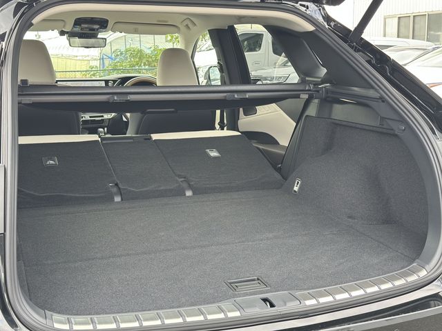 TOYOTA LEXUS RX350 2WD 2025