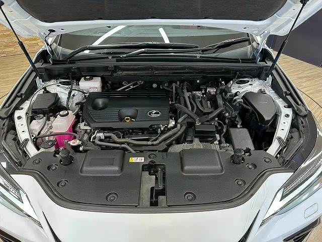 TOYOTA LEXUS NX350h 2023
