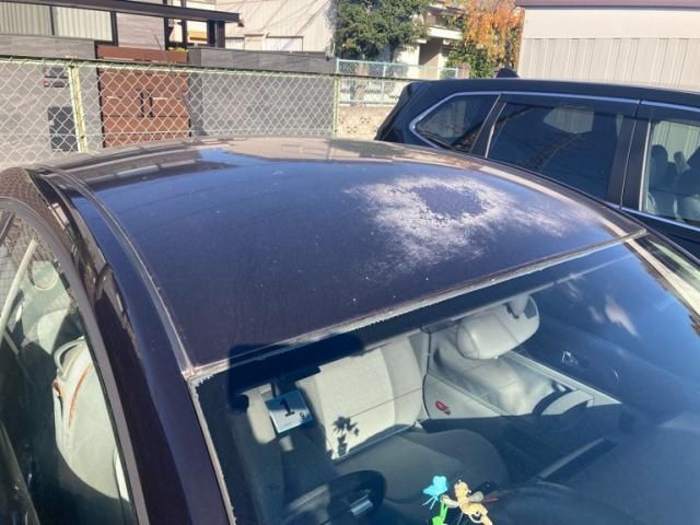 VOLKSWAGEN VW??????? 2005