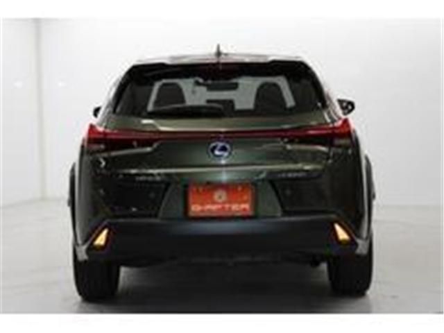 TOYOTA LEXUS UX250h 2020