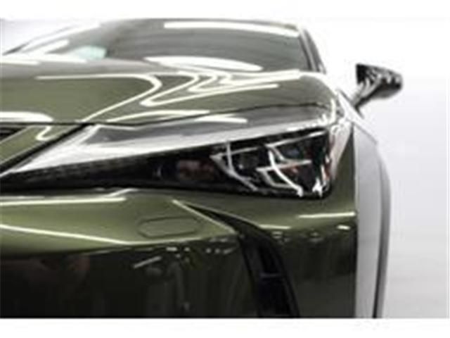 TOYOTA LEXUS UX250h 2020