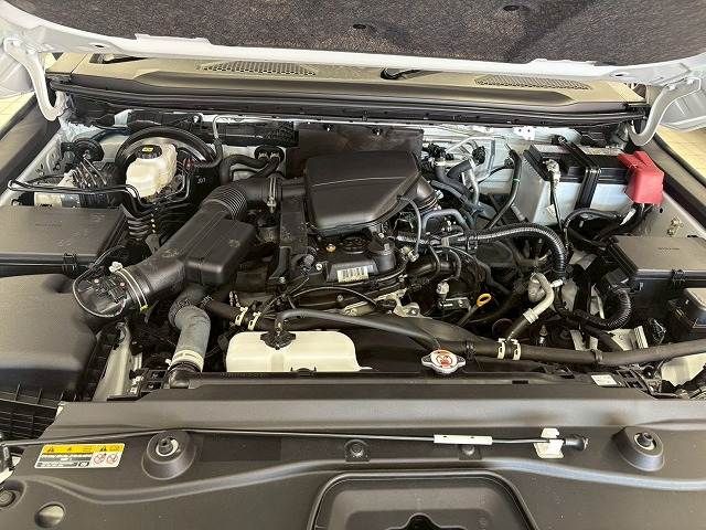 TOYOTA LANDCRUISER 250 2024