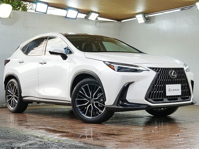 TOYOTA LEXUS NX350h 2023