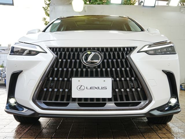 TOYOTA LEXUS NX350h 2023