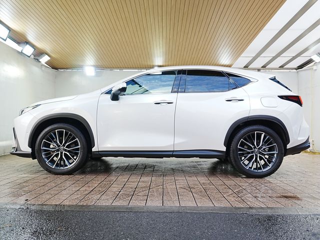 TOYOTA LEXUS NX350h 2023