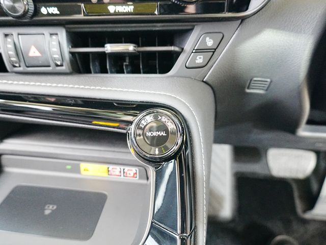 TOYOTA LEXUS NX350h 2023