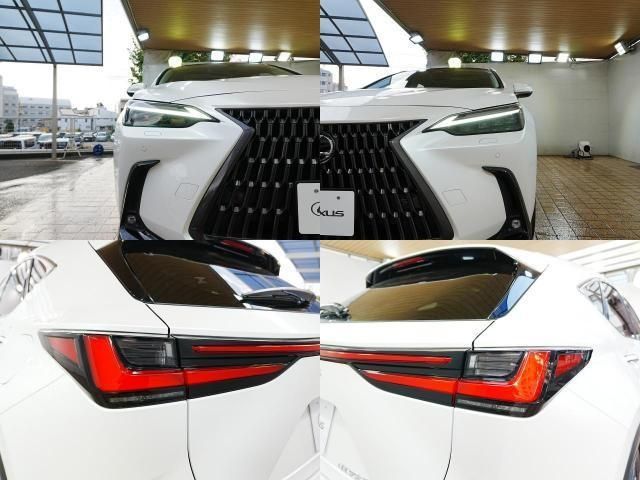 TOYOTA LEXUS NX350h 2023