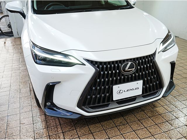 TOYOTA LEXUS NX350h 2023