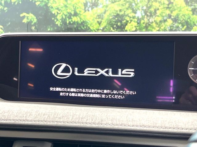 TOYOTA LEXUS UX250h 2021