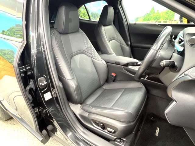 TOYOTA LEXUS UX250h 2021