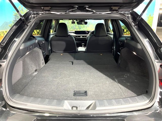 TOYOTA LEXUS UX250h 2021