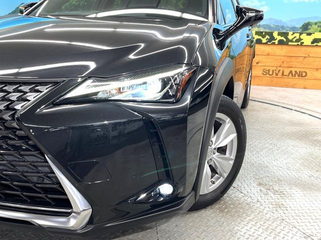 TOYOTA LEXUS UX250h 2021