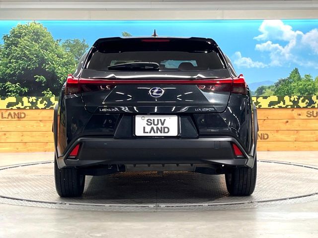 TOYOTA LEXUS UX250h 2021