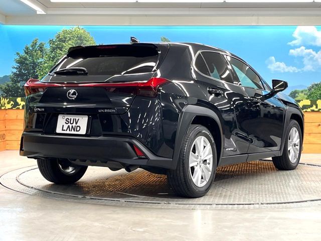 TOYOTA LEXUS UX250h 2021
