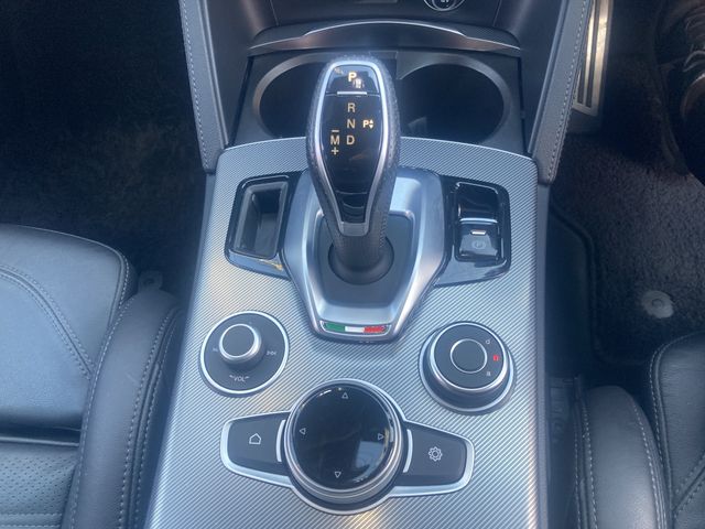 ALFAROMEO ALFAROMEO STELVIO 2020