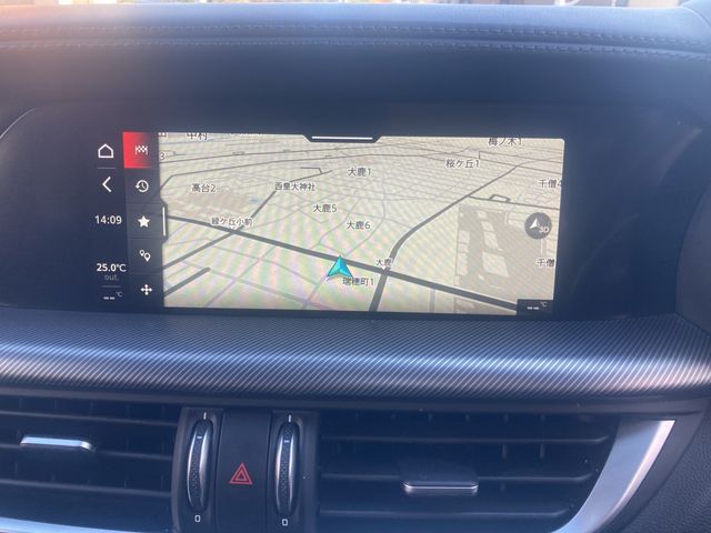 ALFAROMEO ALFAROMEO STELVIO 2020