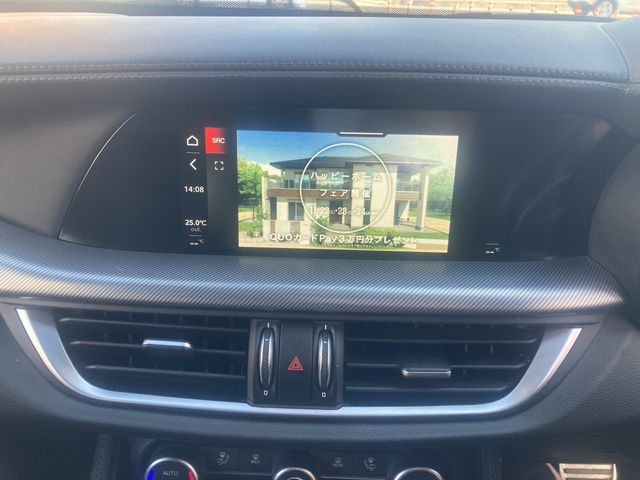 ALFAROMEO ALFAROMEO STELVIO 2020