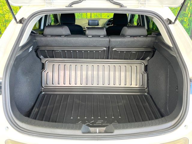 MAZDA AXELA SPORTS 2019