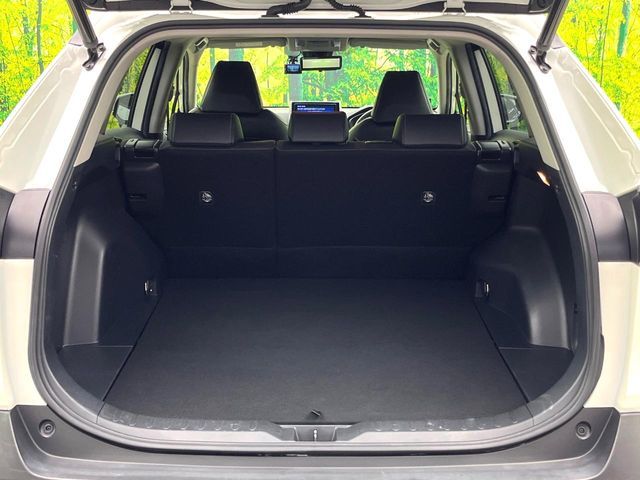 TOYOTA RAV4 4WD 2019