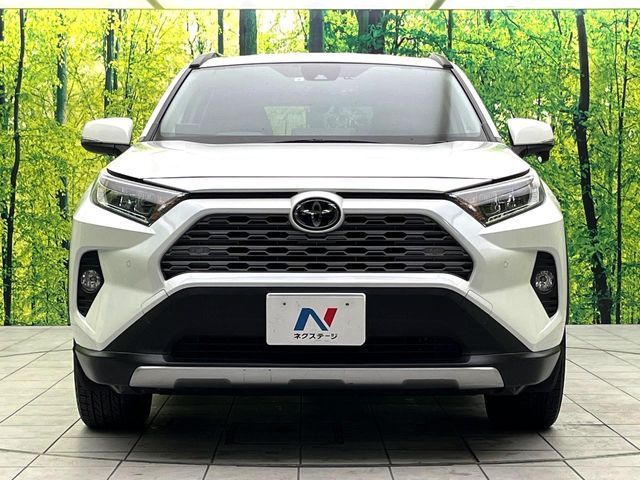 TOYOTA RAV4 4WD 2019
