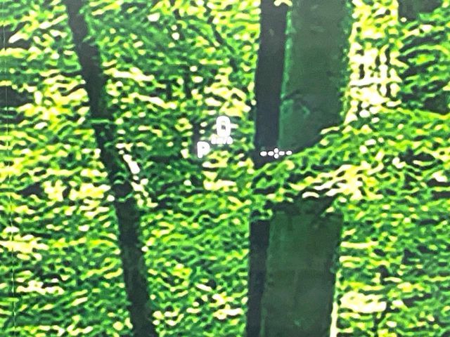 SUZUKI Spacia custom 2022