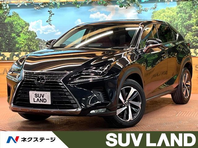 TOYOTA LEXUS NX300 2019