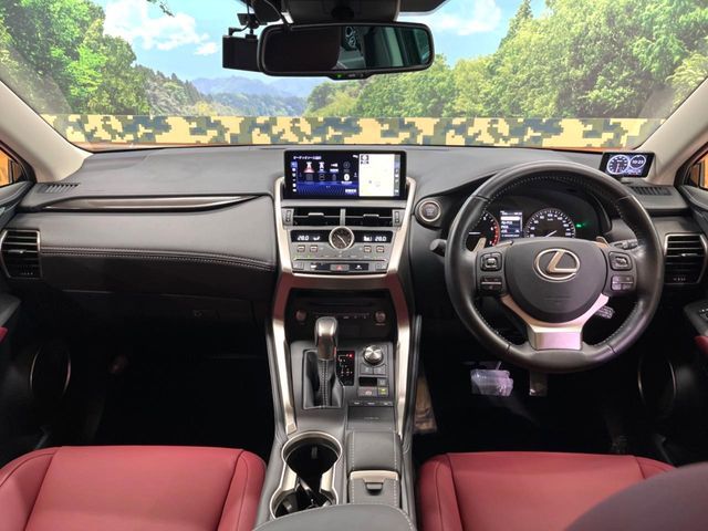 TOYOTA LEXUS NX300 2019