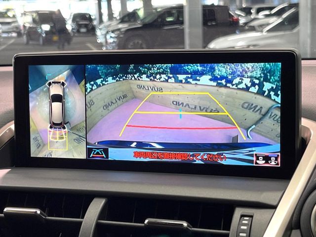 TOYOTA LEXUS NX300 2019