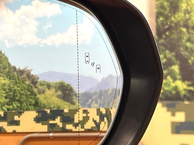 TOYOTA LEXUS NX300 2019