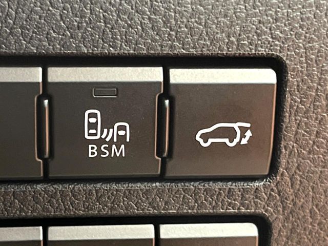 TOYOTA LEXUS NX300 2019