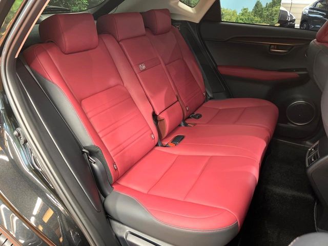 TOYOTA LEXUS NX300 2019