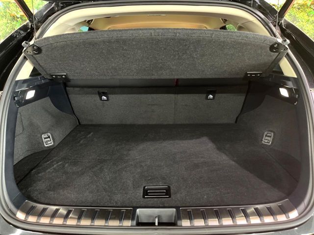 TOYOTA LEXUS NX300 2019