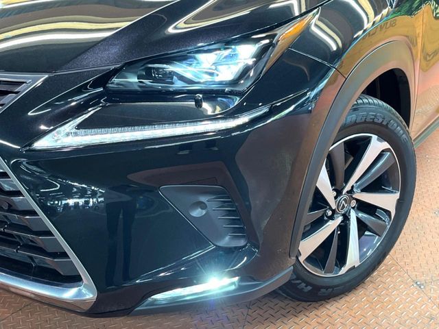 TOYOTA LEXUS NX300 2019