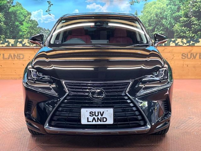 TOYOTA LEXUS NX300 2019