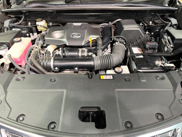 TOYOTA LEXUS NX300 2019