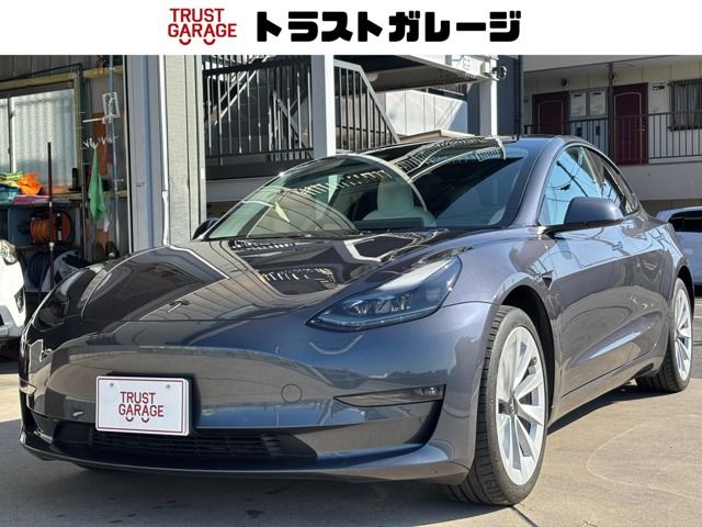 TESLA TESLA MODEL 3 2021