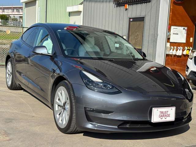TESLA TESLA MODEL 3 2021